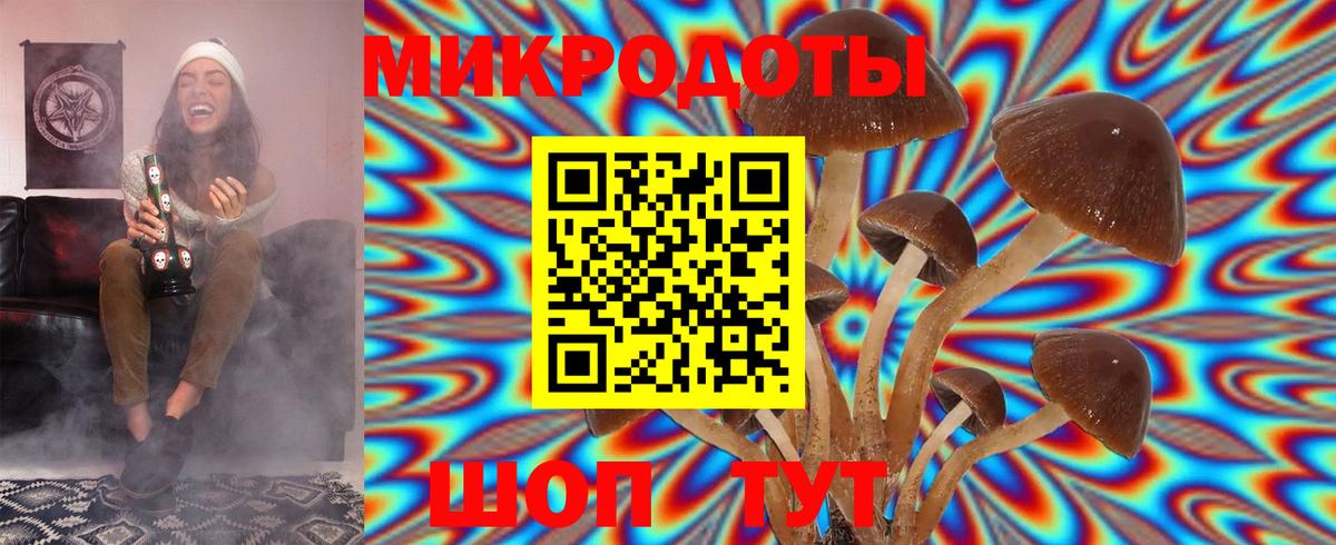 Псилоцибиновые грибы Psilocybe  Вход с VPN  Кудымкар 